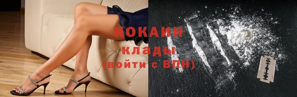ПСИЛОЦИБИНОВЫЕ ГРИБЫ Вяземский