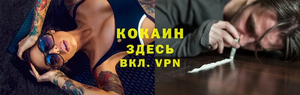 ПСИЛОЦИБИНОВЫЕ ГРИБЫ Вяземский