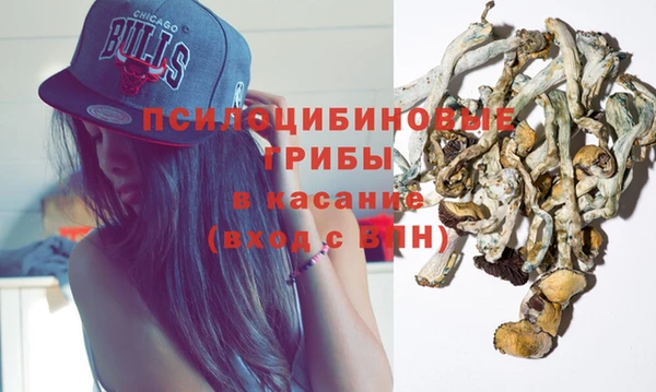 ПСИЛОЦИБИНОВЫЕ ГРИБЫ Вяземский