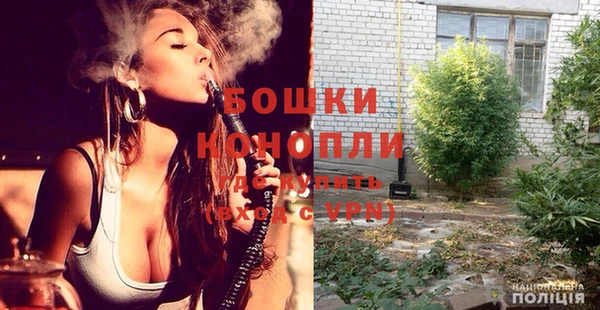ПСИЛОЦИБИНОВЫЕ ГРИБЫ Вяземский