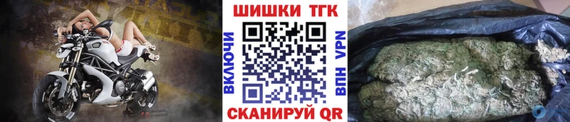 Конопля сатива  Нязепетровск 